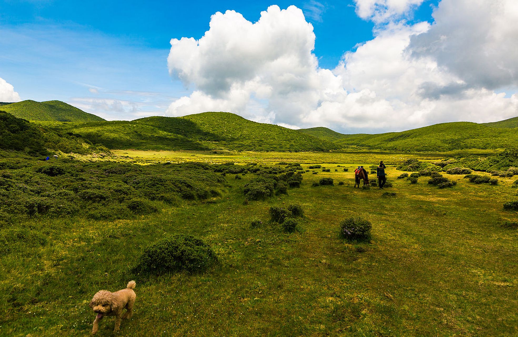 旅行中的治愈日常# 于甘肃夏河县城西南1公里处,是桑科乡达久滩("