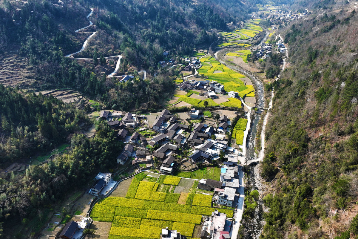 梭山镇图片