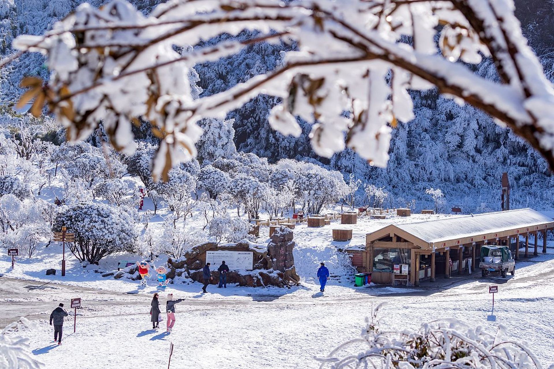 刚进入仙女山,映入眼帘的是一片洁白的世界,雪花纷纷扬扬地飘落着