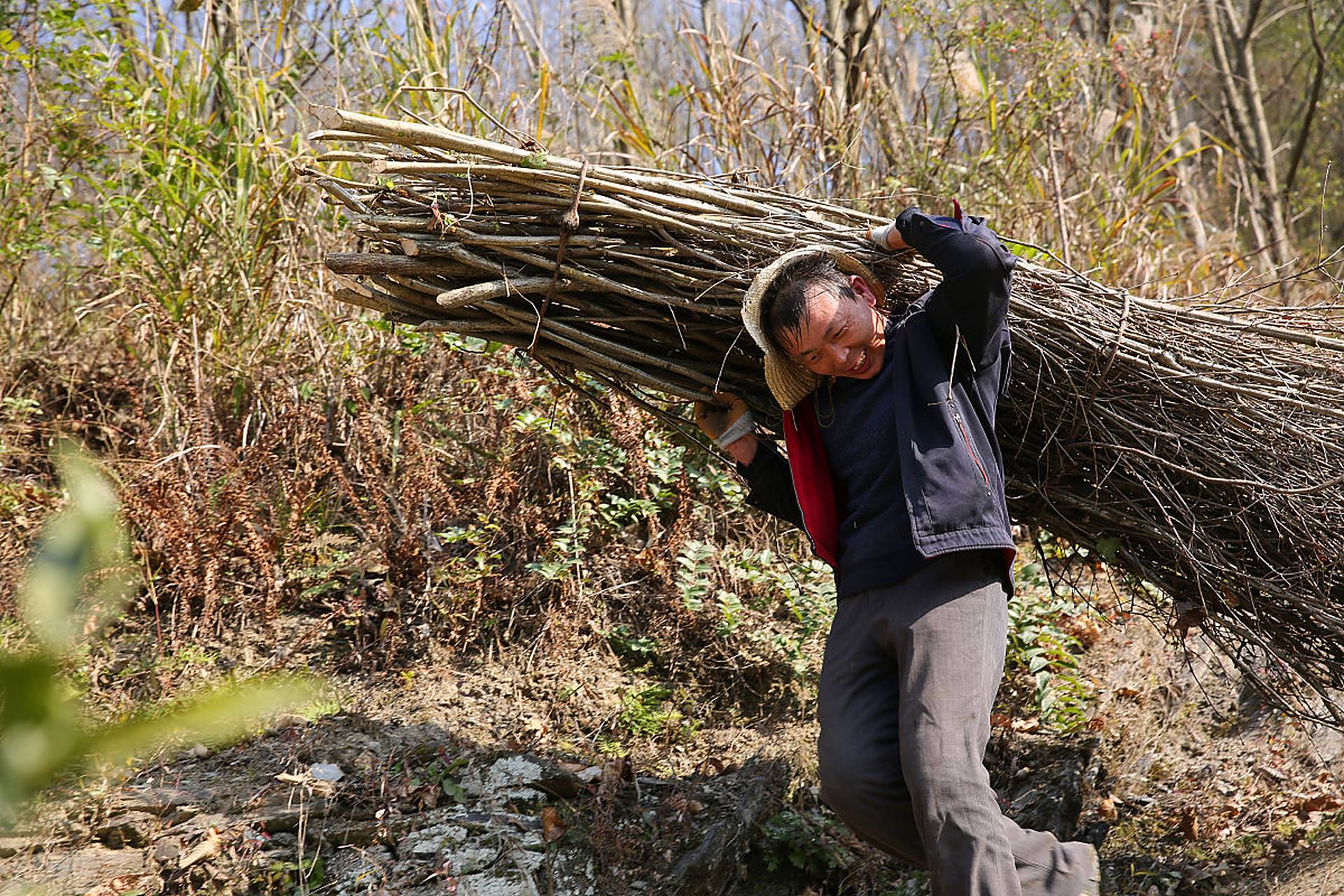 一男子走进山上,准备砍柴火,发现鹰的窝里有一条小白蛇!