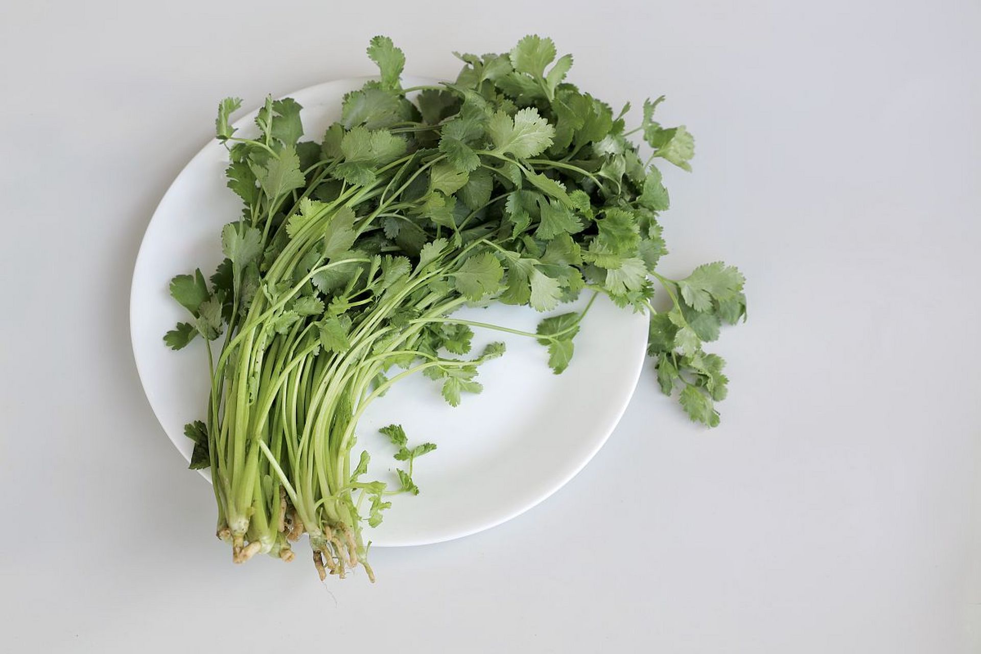 香菜的学名叫芫荽,读音是yán sui,很多地方的人会这样描述,但只有小