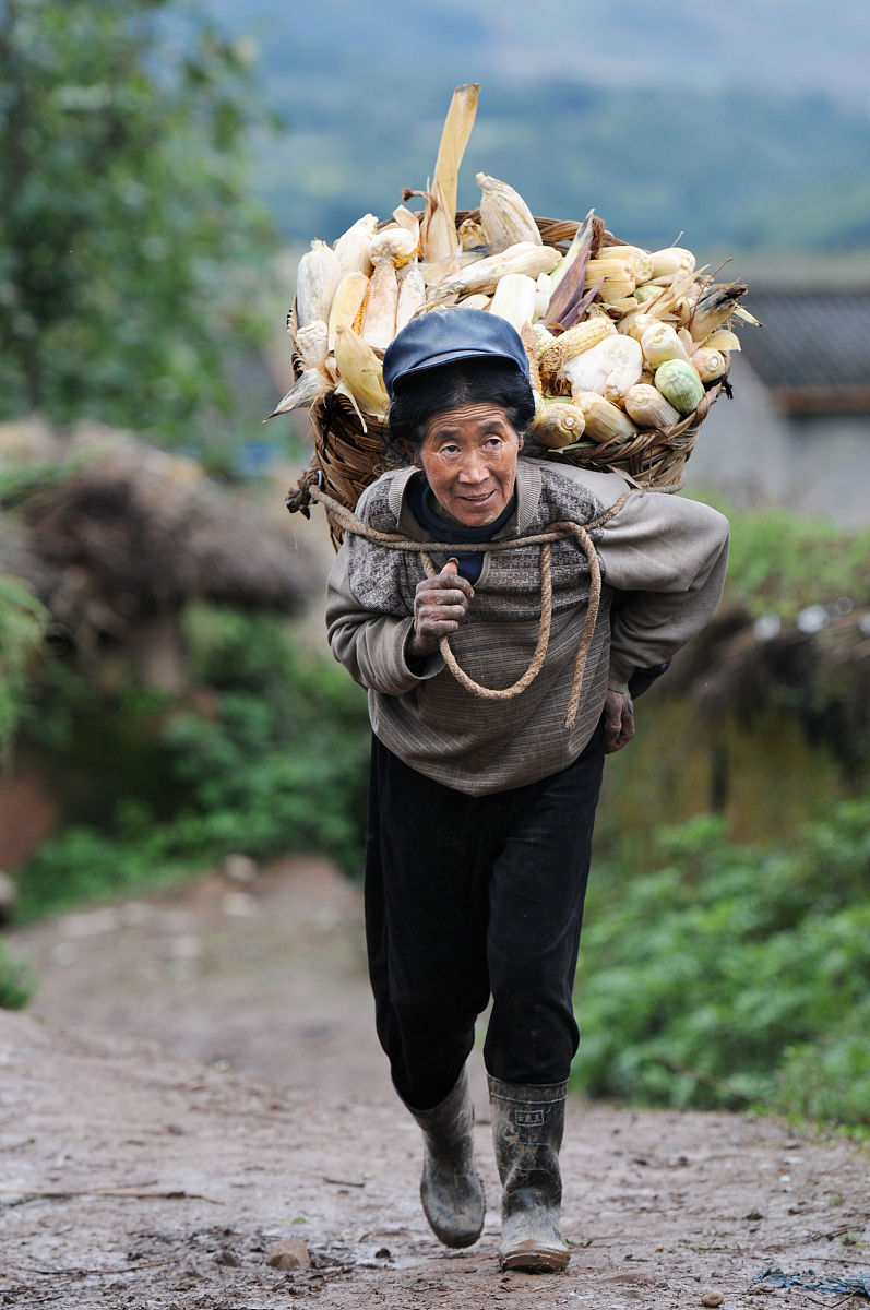 雨雾中奔波的老女人