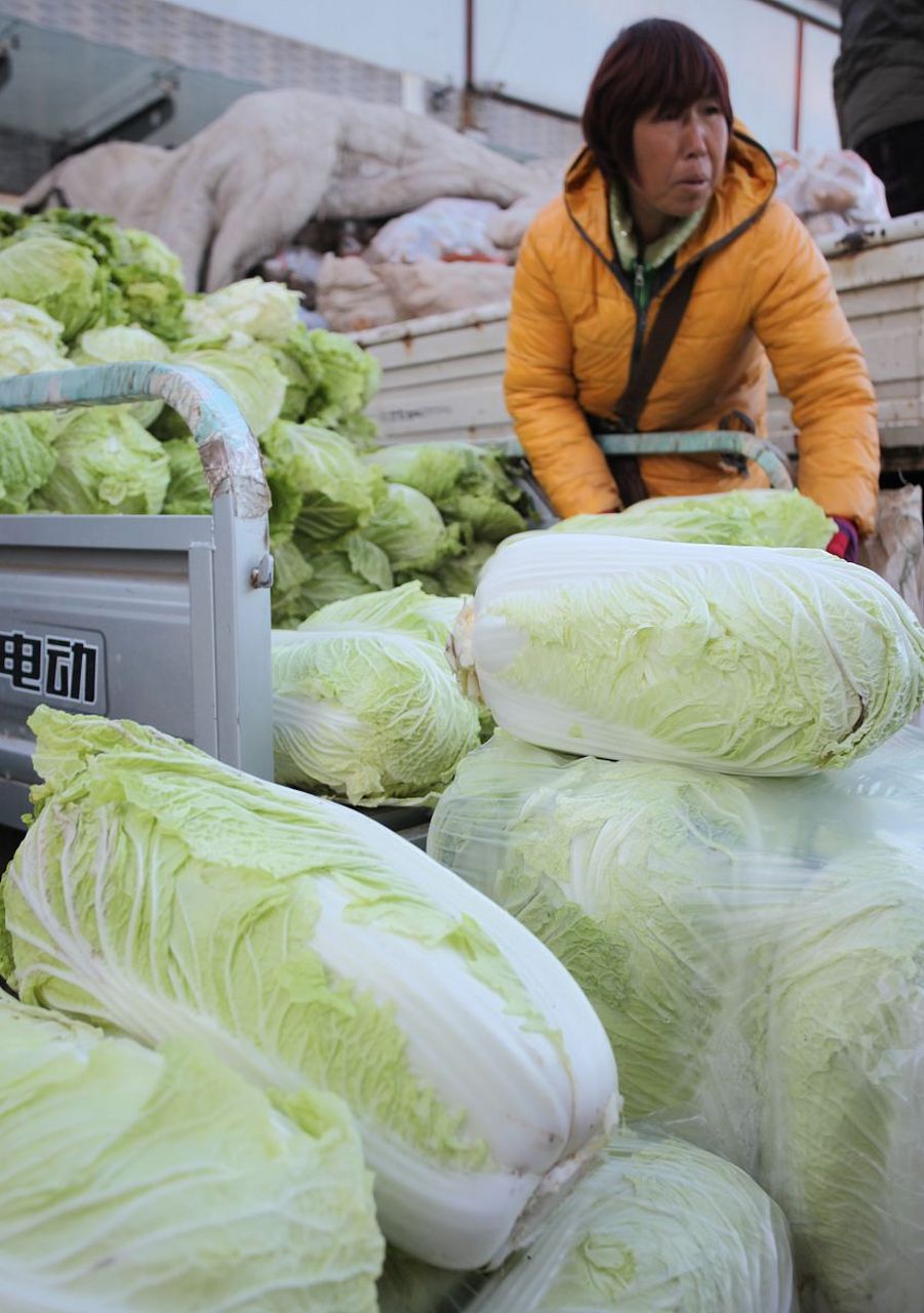 胶州大白菜,又称"胶白",产于中国山东省胶州市,是当地著名的特产之一.