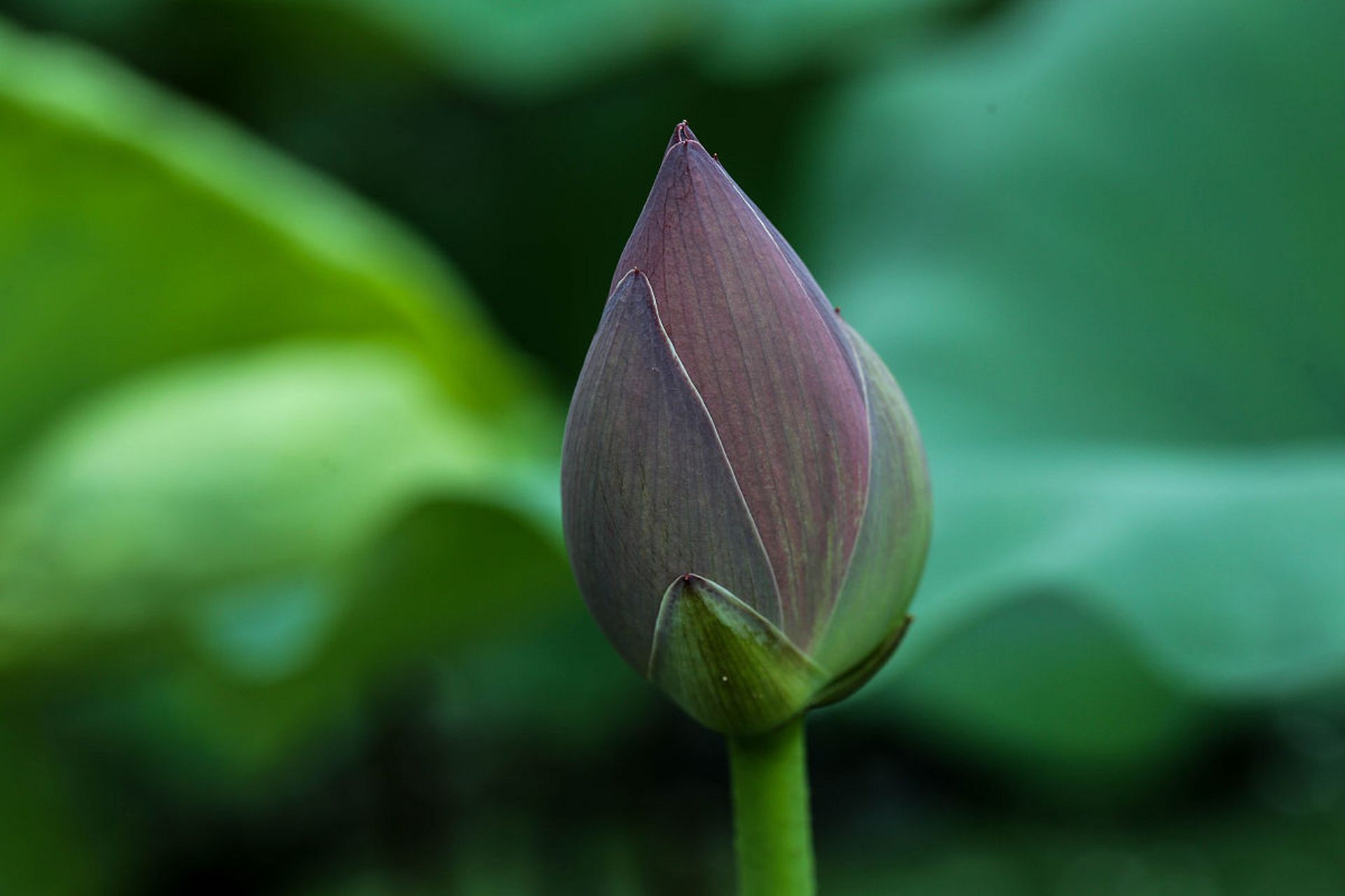 一个人内心富足了,就会清心寡欲! 就会看淡很多东西!
