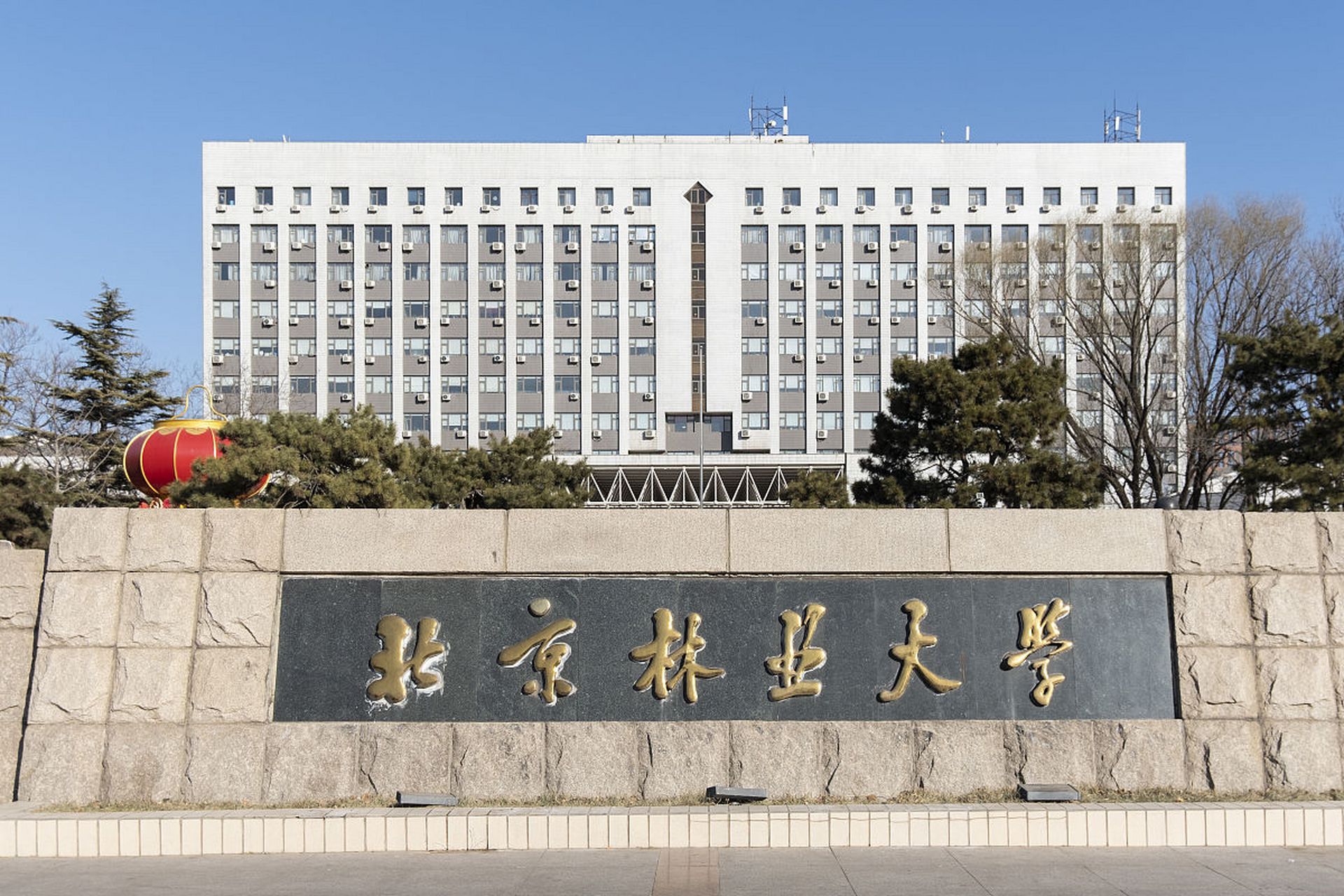 好的财经类大学(最好的财经类大学前10强)