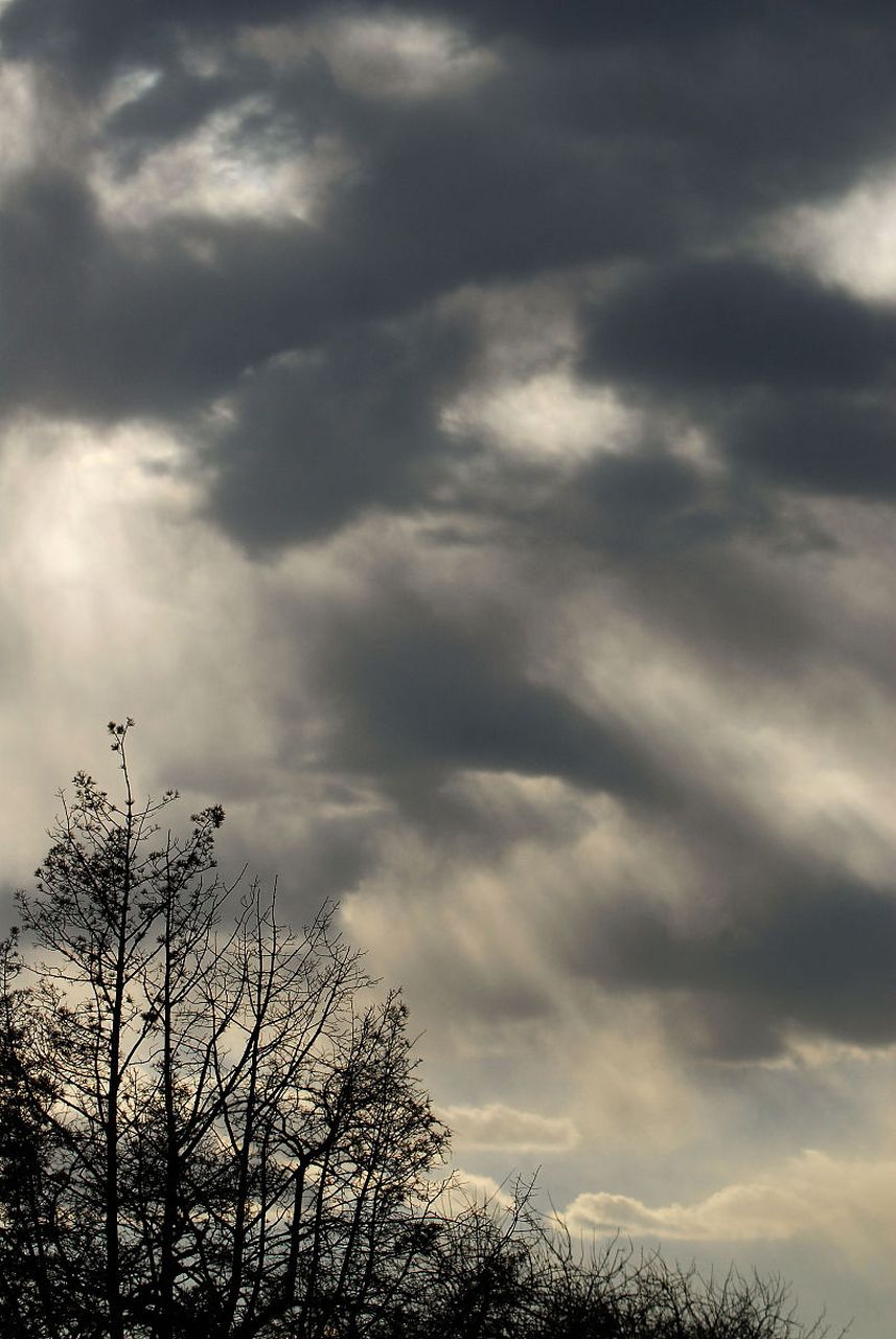 (心情日记)2023年7月19日  天气:阴天  今天的天空是一层不变的阴天