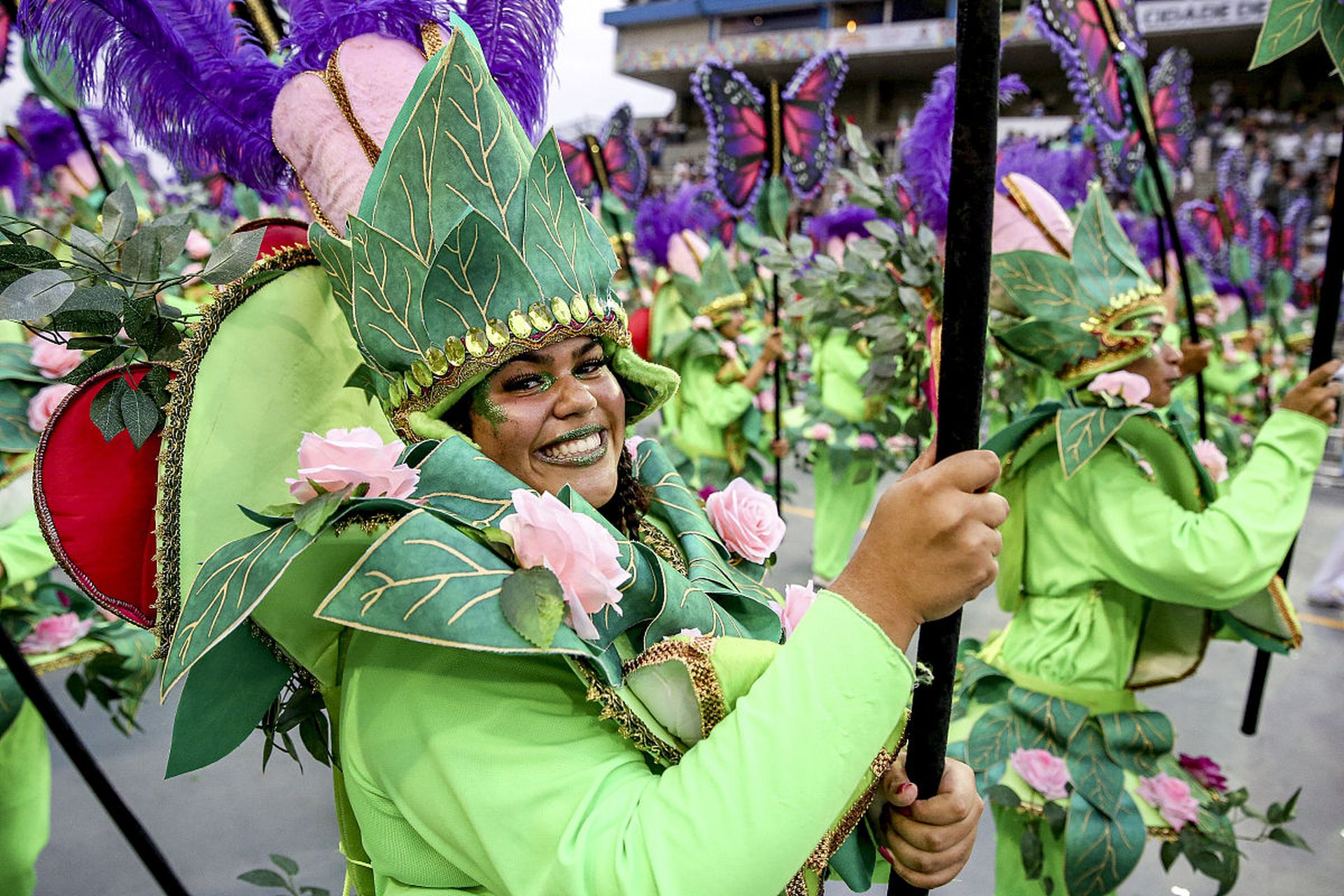 时间2月25日举行  菲律宾碧瑶花节是一个庆祝自然和文化的传统节日
