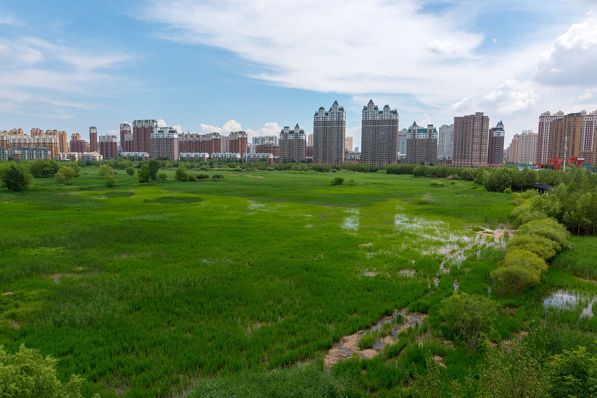 群力湿地公园公交车图片