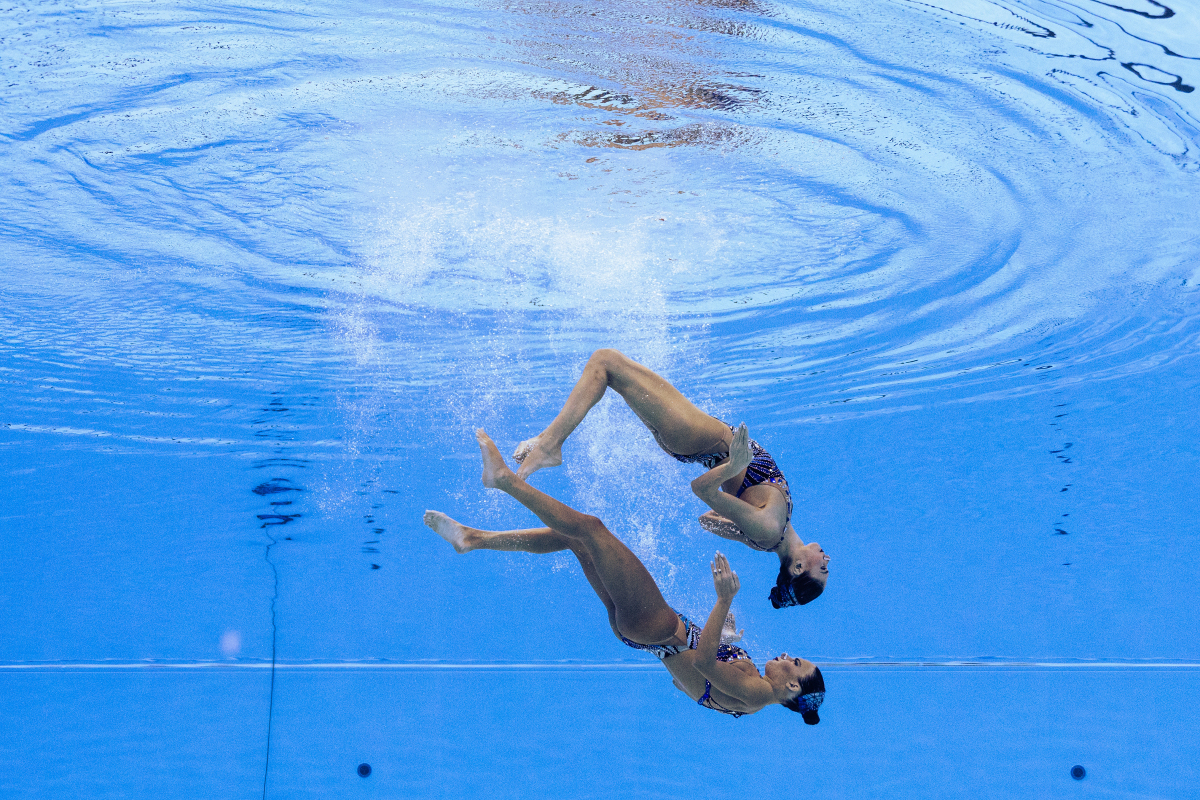 有用摘要由作者通过智能技术生成中国跳水新