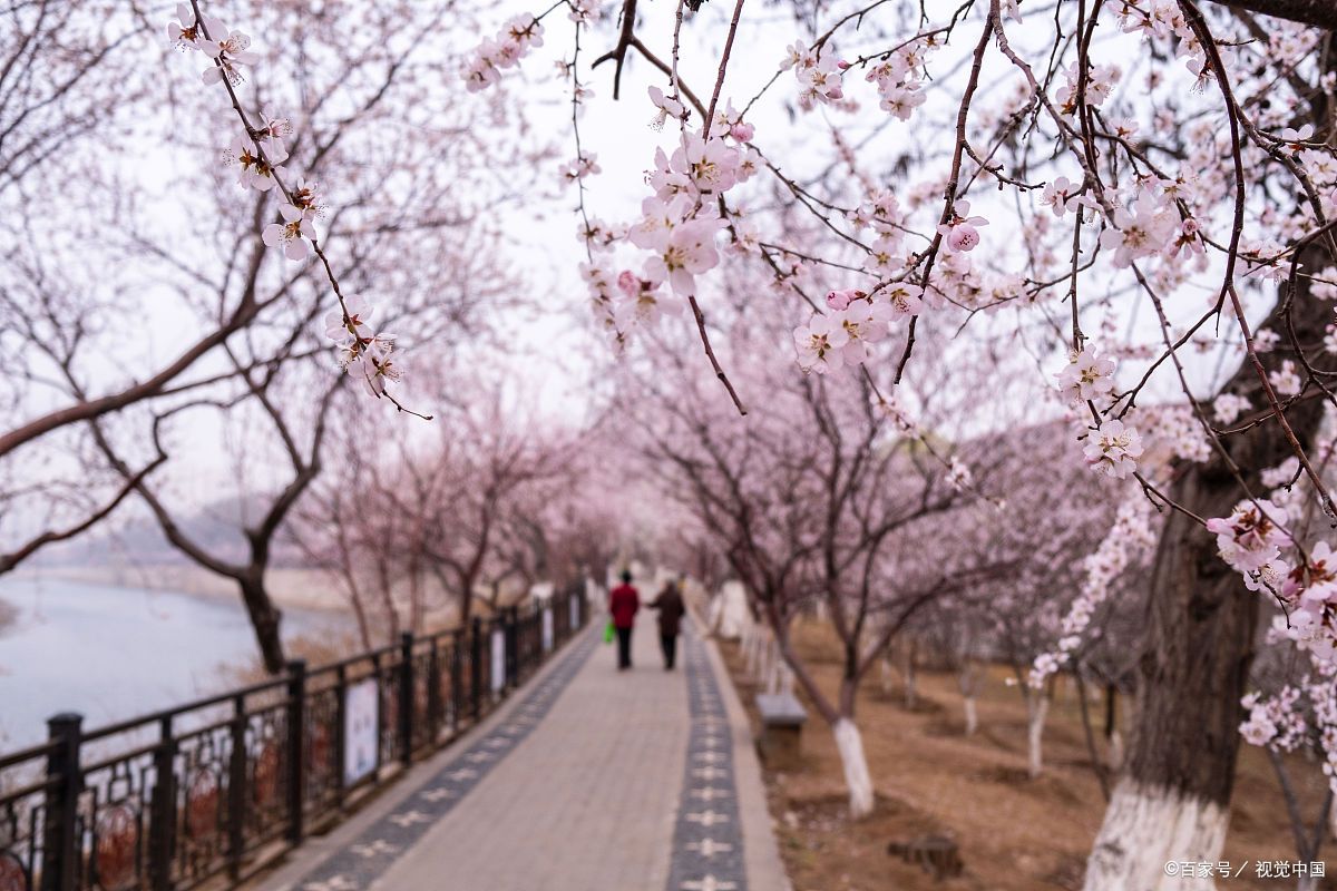 桃花岛安期峰景区图片