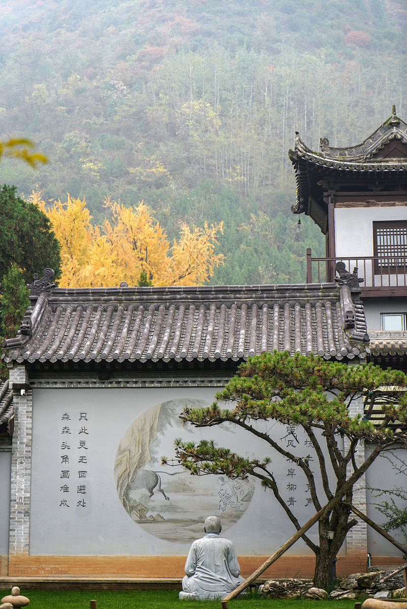 西安古观音禅寺图片图片