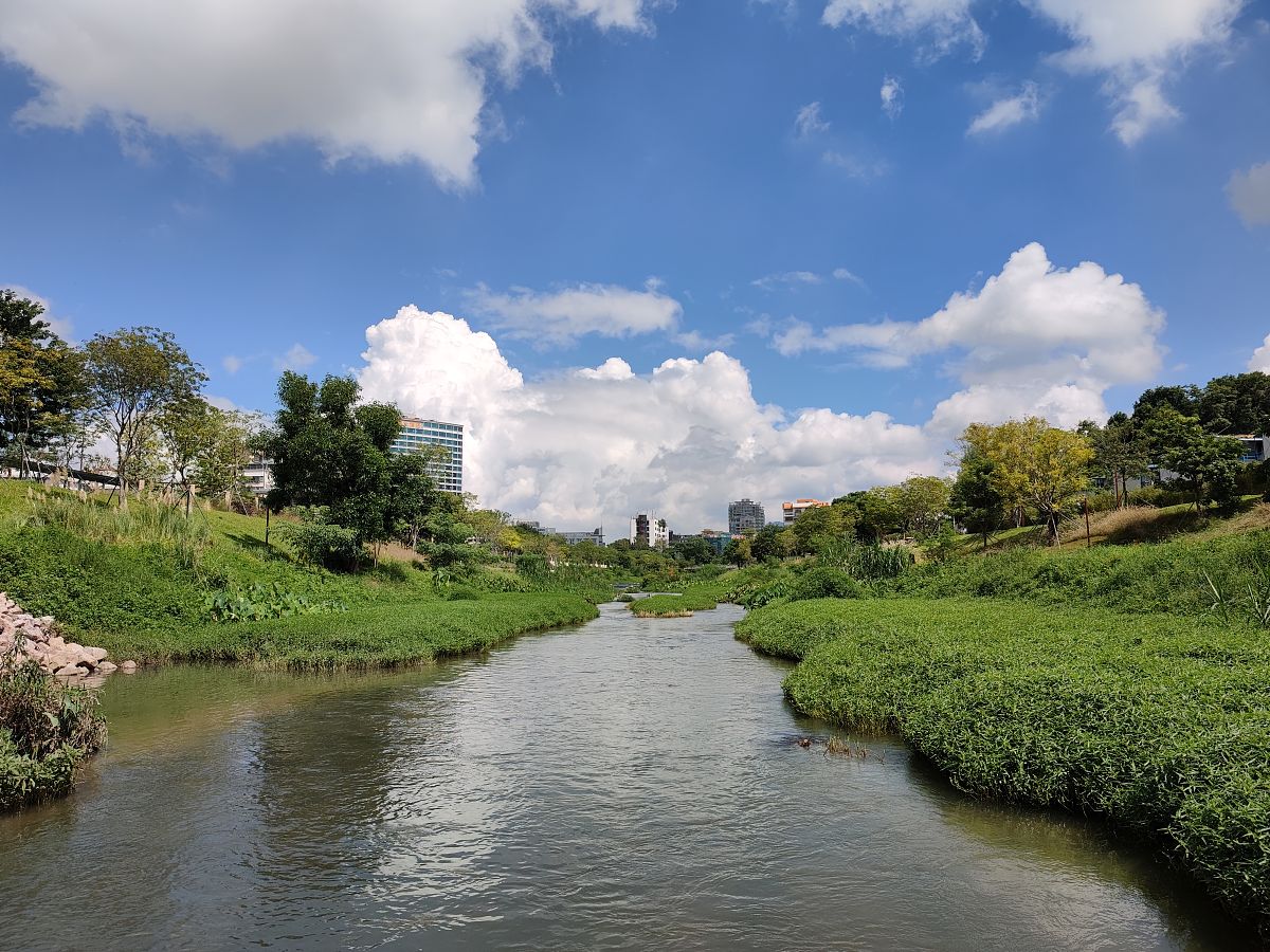 深圳南山大沙河,河水清澈风景秀丽,景观太出众了