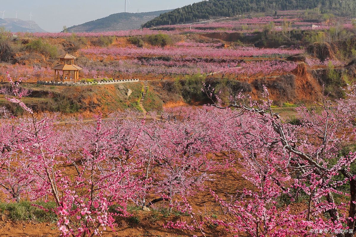 顺平免费旅游景点大全图片