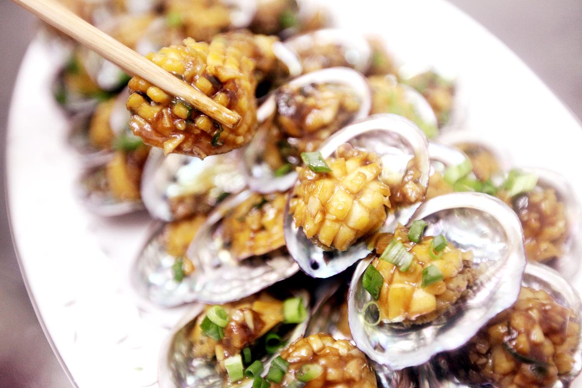 探访湛江硇洲最出名的特产硇洲鲍鱼,畅销全国的硇洲鲍鱼