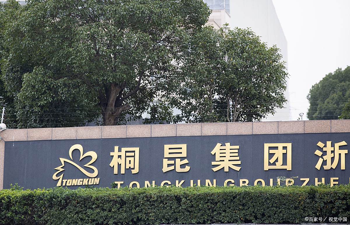 36岁美女董事长力挽狂澜,能为桐昆集团转危为安吗?