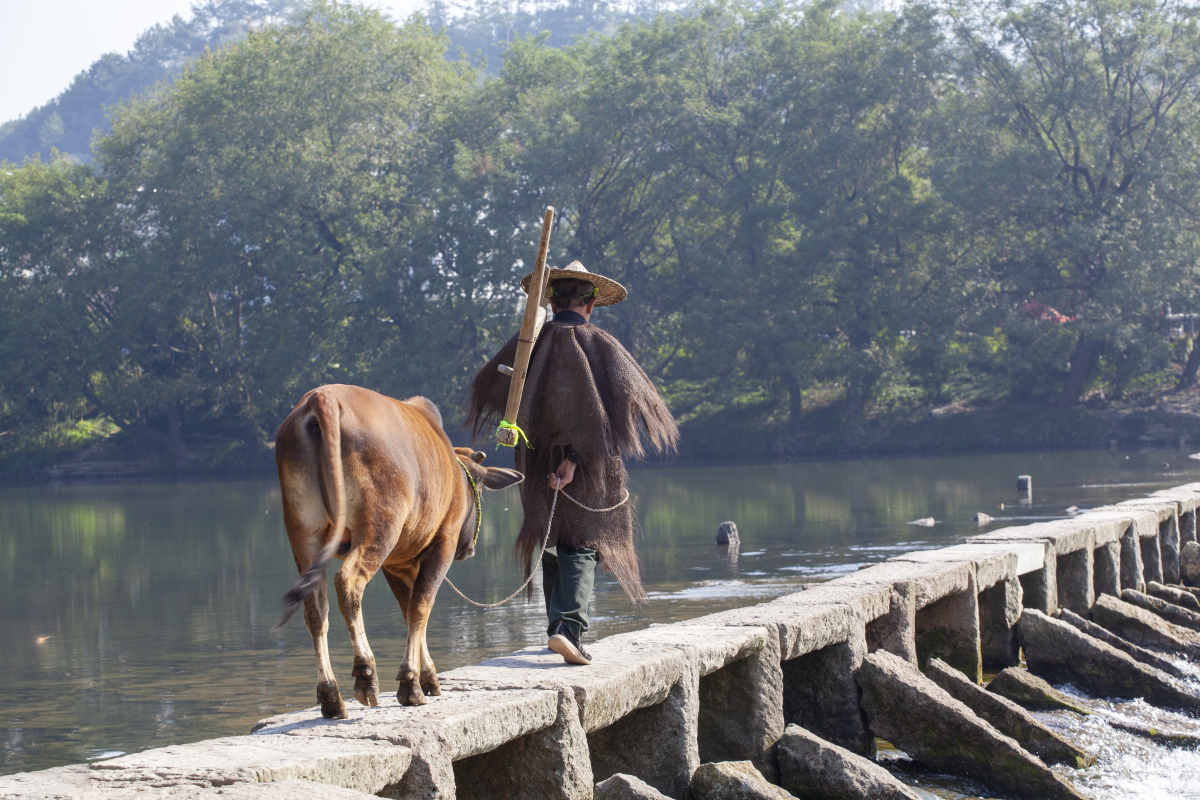 来丽水仙都,仙剑奇侠传取景地,一睹老人牵牛的名场面!