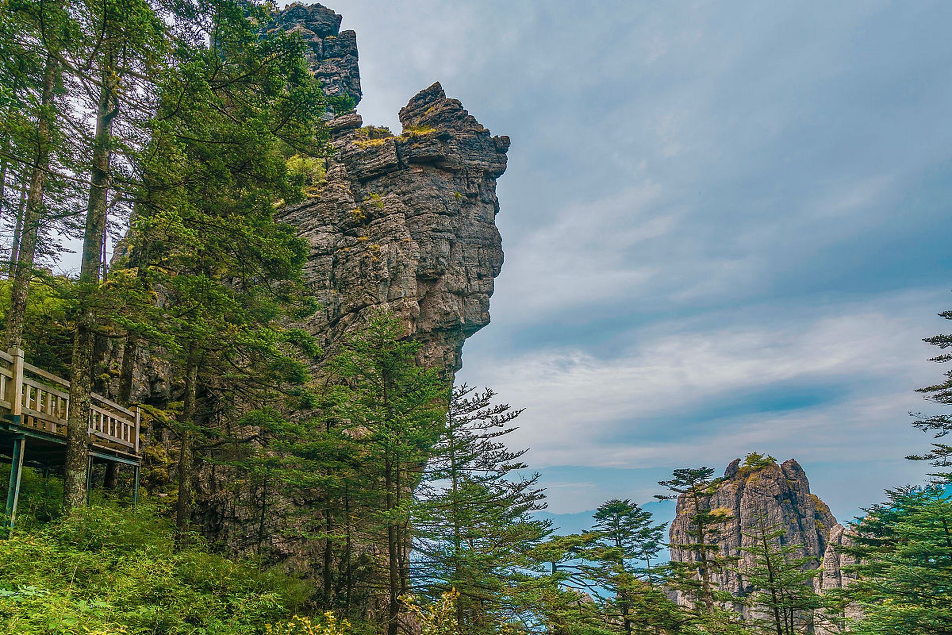 神农谷位于株洲炎陵县,是湖南多山地丘陵的代表之一,森林植被丰富