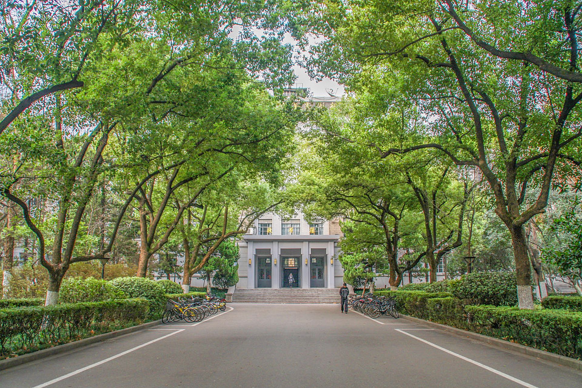 南京大学鼓楼校区,这个名字在我心中有着特别的分量.