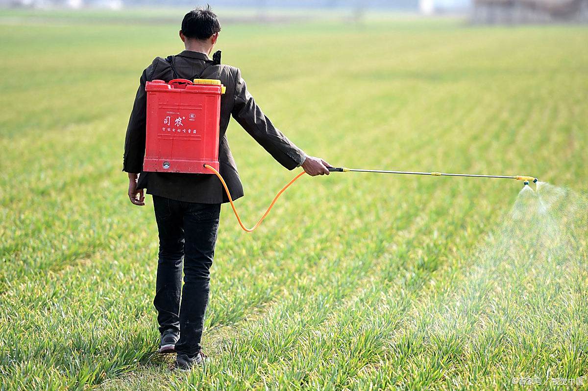 小麦除草 - 优质问答专区