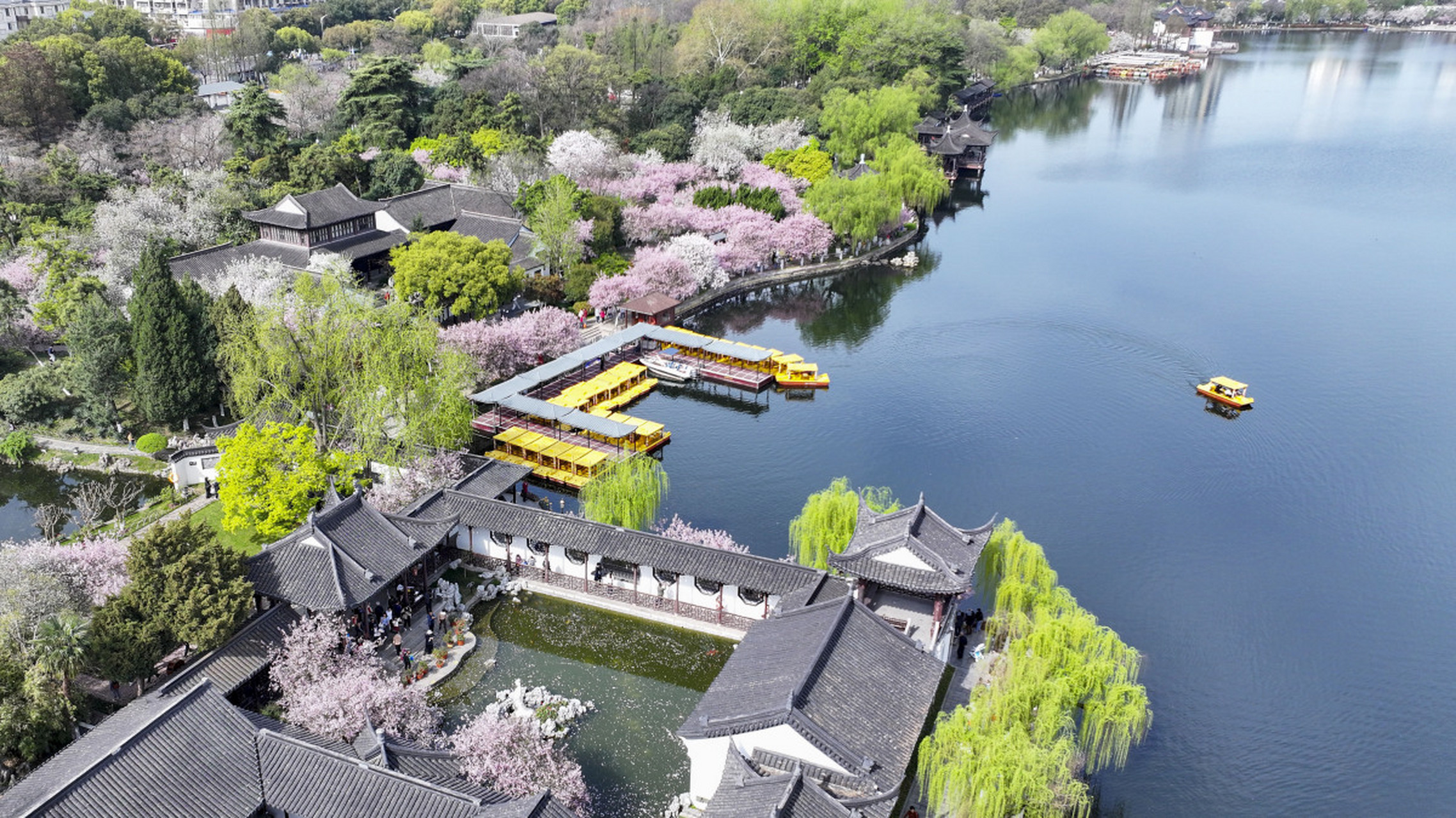 苏堤春晓是西湖十景之一,也是西湖上的一道妩媚风景线.