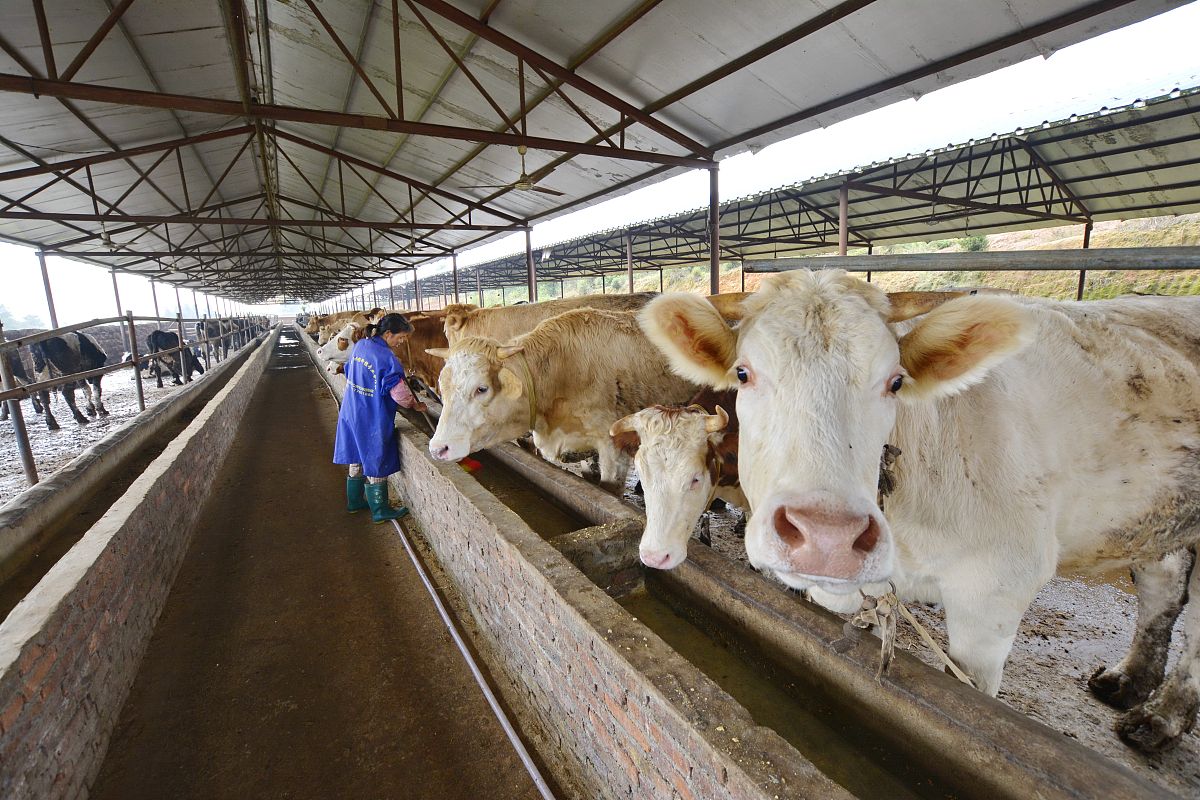 易游娱乐城- YY易游体育官方网站- 易游体育APP毛片哪里找_毛片哪里找V21912(2024已更新)官方网站-IOS安卓通用版