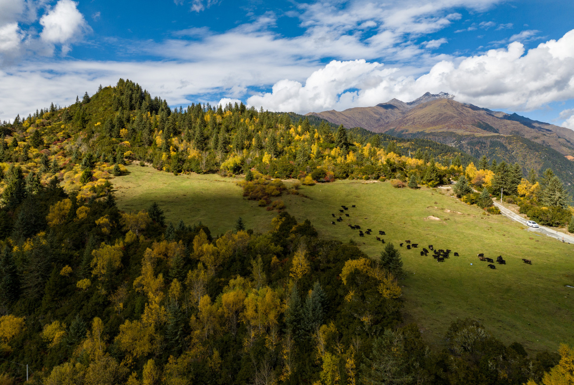 米亚罗,位于四川省阿坝藏族羌族自治州理县,是中国最大的红叶景观区.