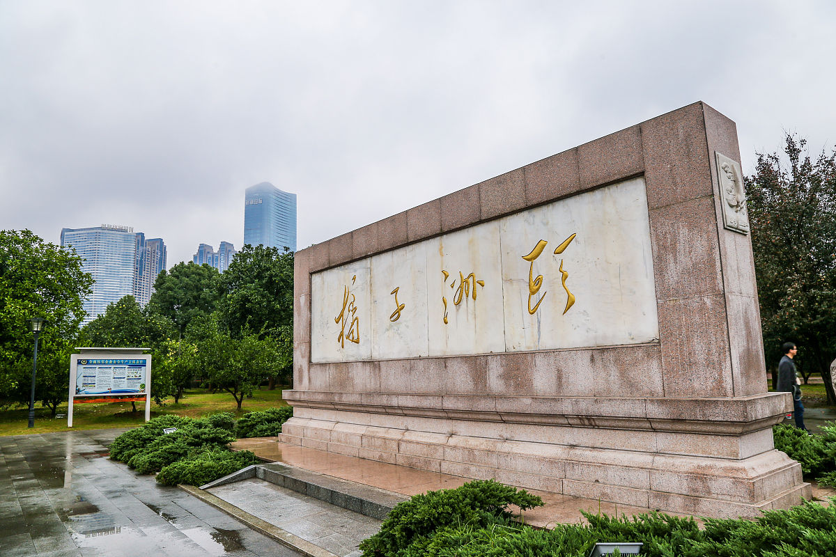 岳阳市赶山路岳阳学院图片