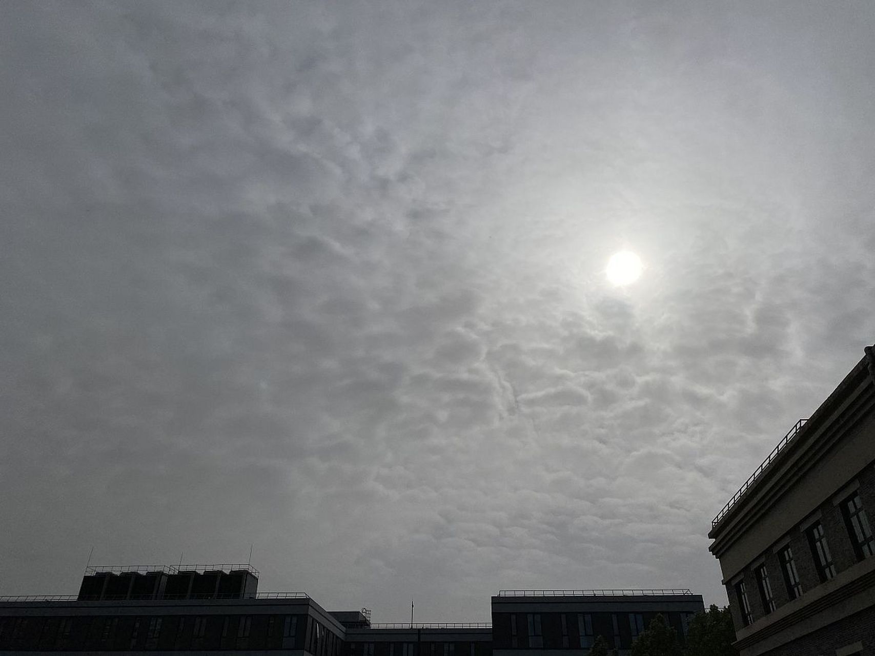 天空灰得像哭过.