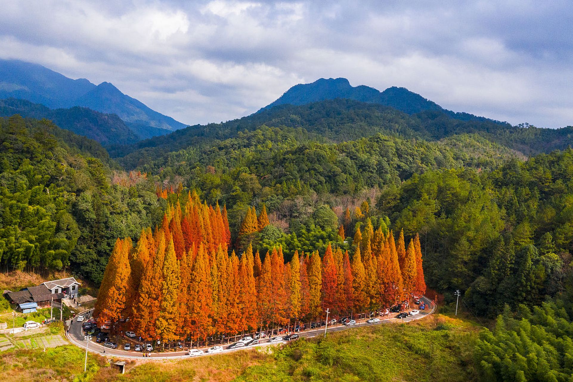 金秋图文动态创作节# 93永州市桐子坳景区:感受秋日红叶的魅力之旅