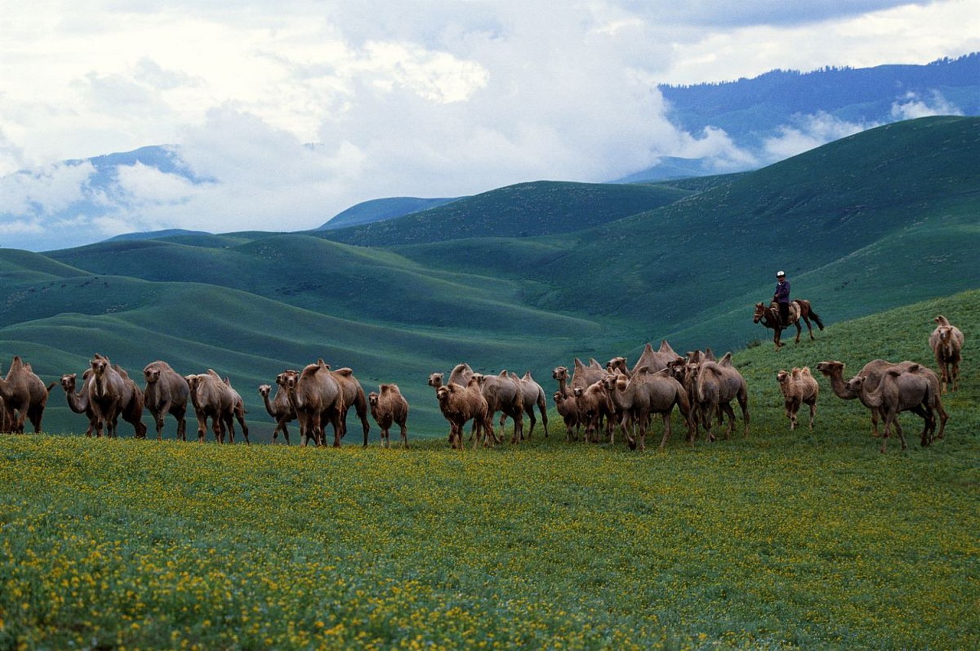 视觉中国文化发展股份有限公司与华为云计算技术有限公司合作啦!