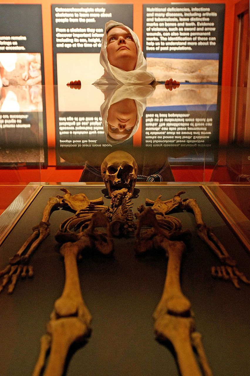 馆  位于美国费城南二街19号的马特博物馆是一个世界闻名的医学博物馆