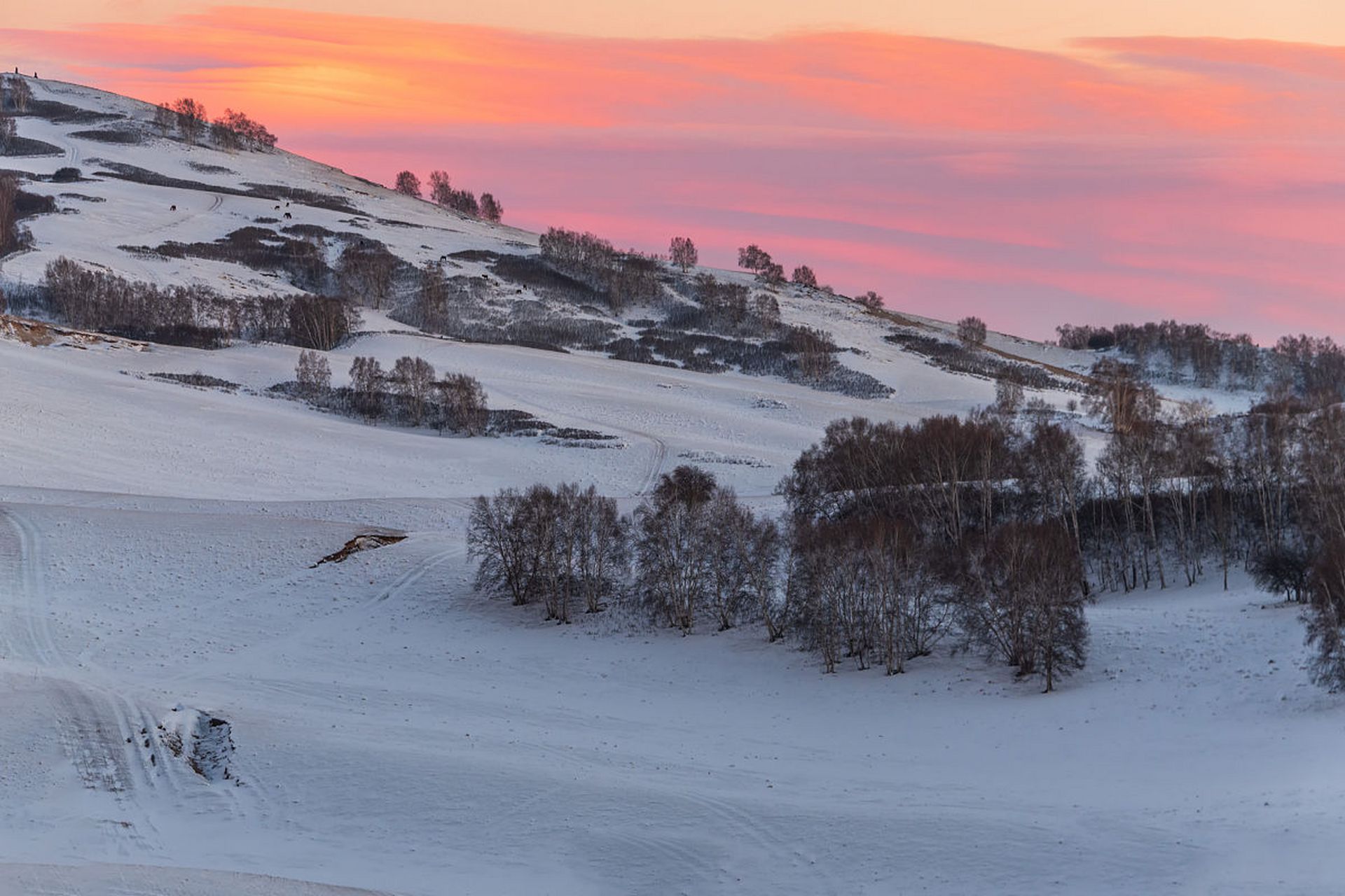 大草原在冬季时依然广袤无垠,可以欣赏到草原雪景和牧民的冬季生活