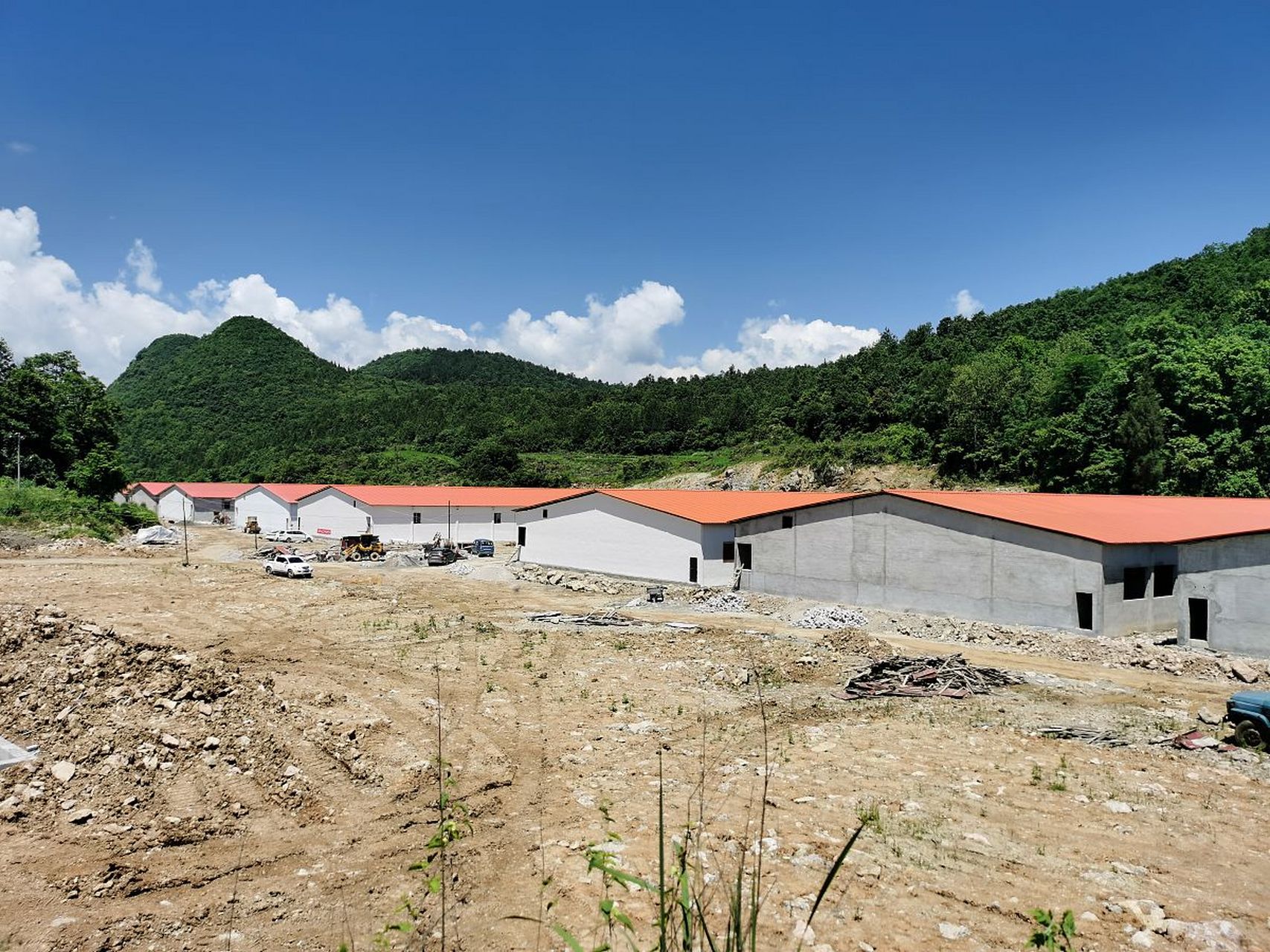 三年前,市中区政府与正邦集团签订协议,引进一个繁育养殖基地项目,总