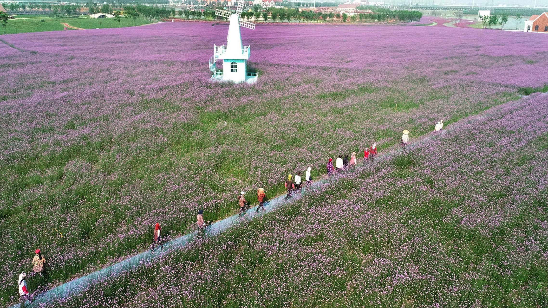 灌云伊甸园景区门票图片