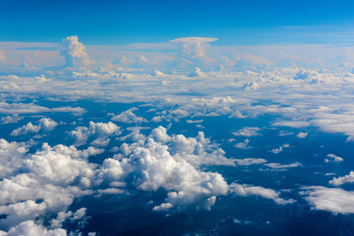 你是我心里最美的期待