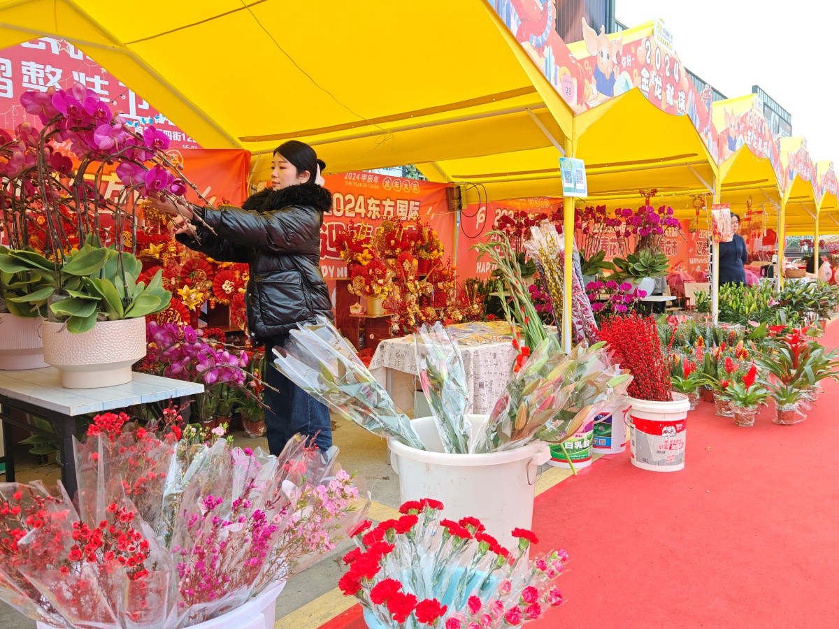 喜逛花市祥云飘,2024年广州各区迎春花市地址及开放时间  