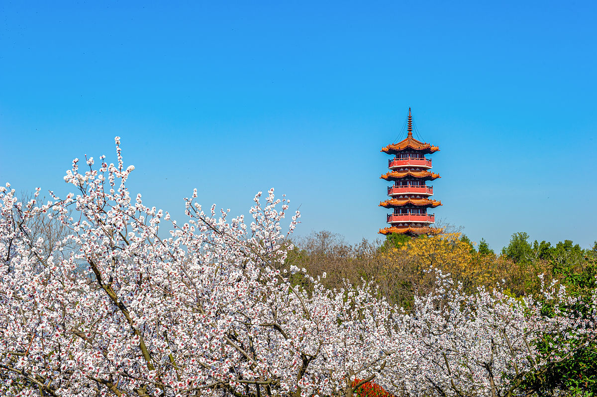 徐州云龙湖旅行指南