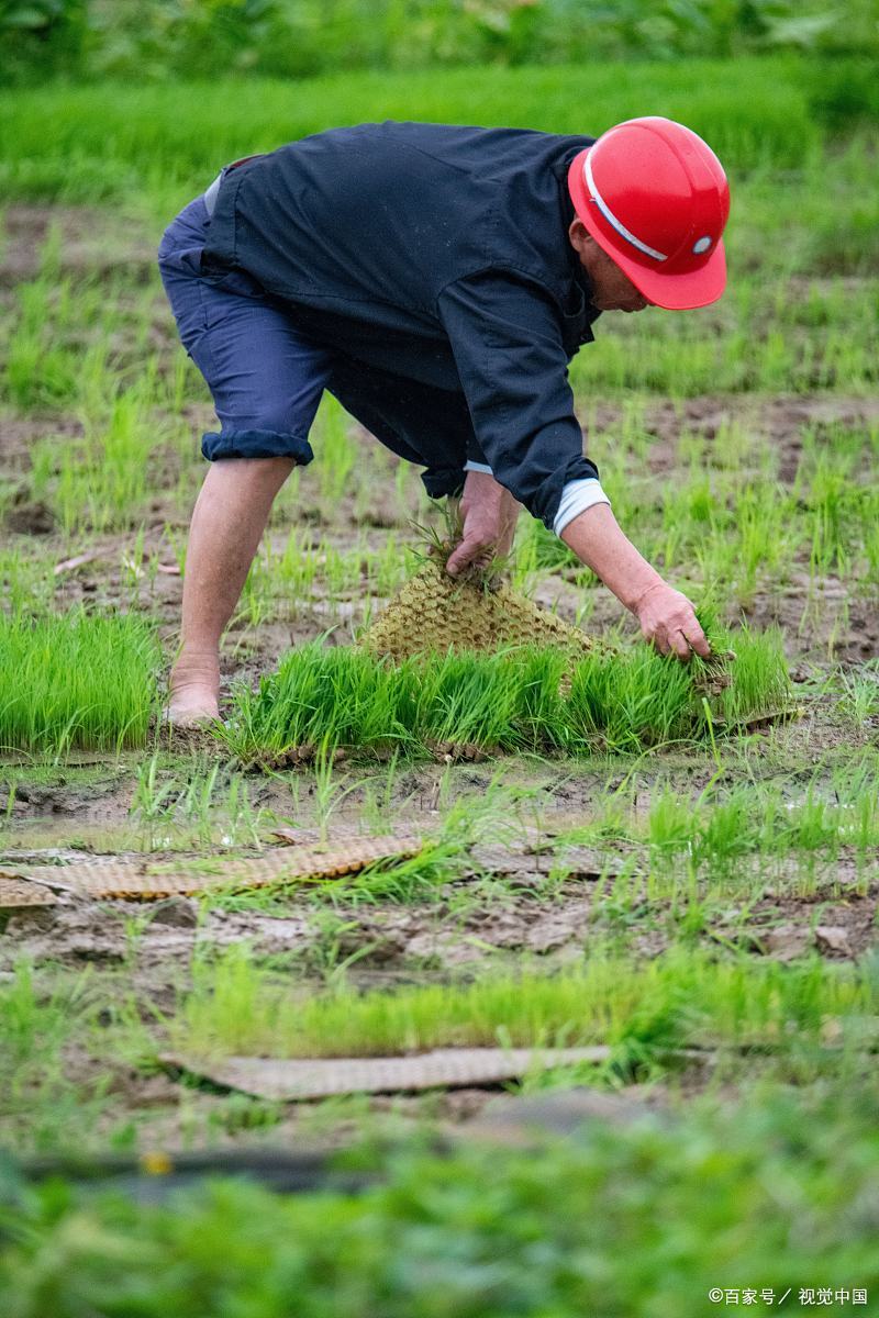 发现没有,一辈子干活和不干活的,老了以后身体有明显的不同