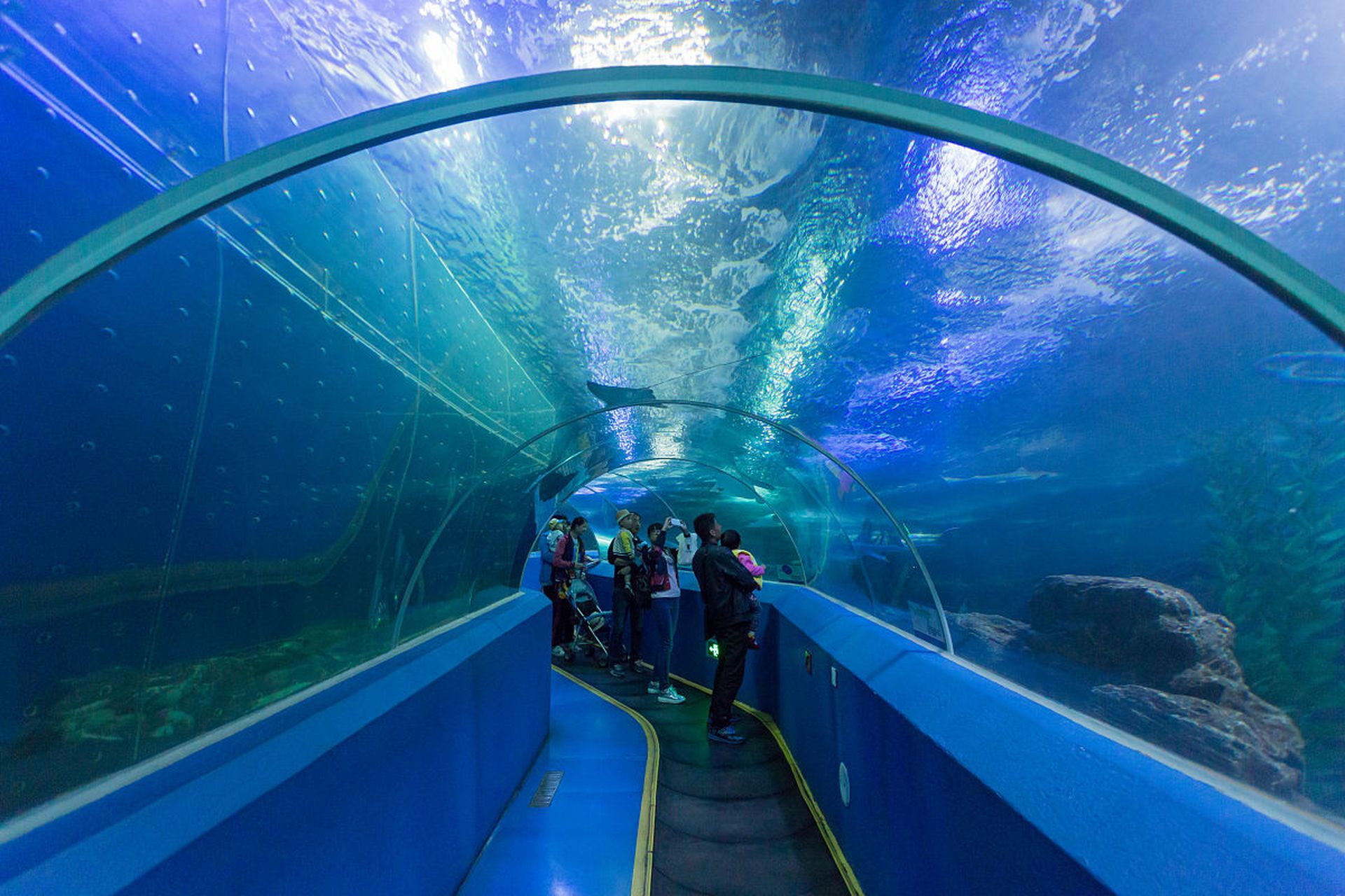 日照海洋公園遊玩攻略——一份專為孩子們寫得旅遊攻略 親愛的孩子們