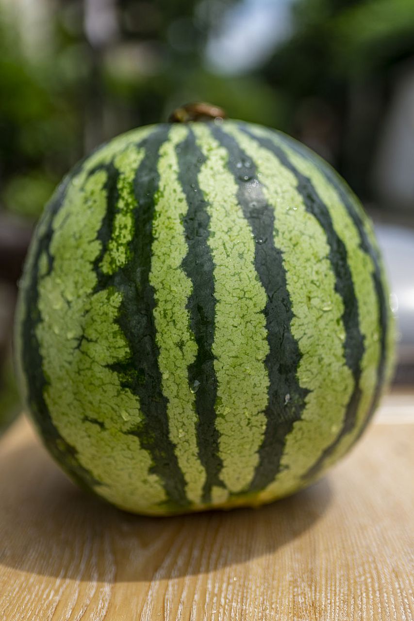 从中医的角度来说,西瓜属寒性,摄入过多会导致过寒而损伤脾胃,所以