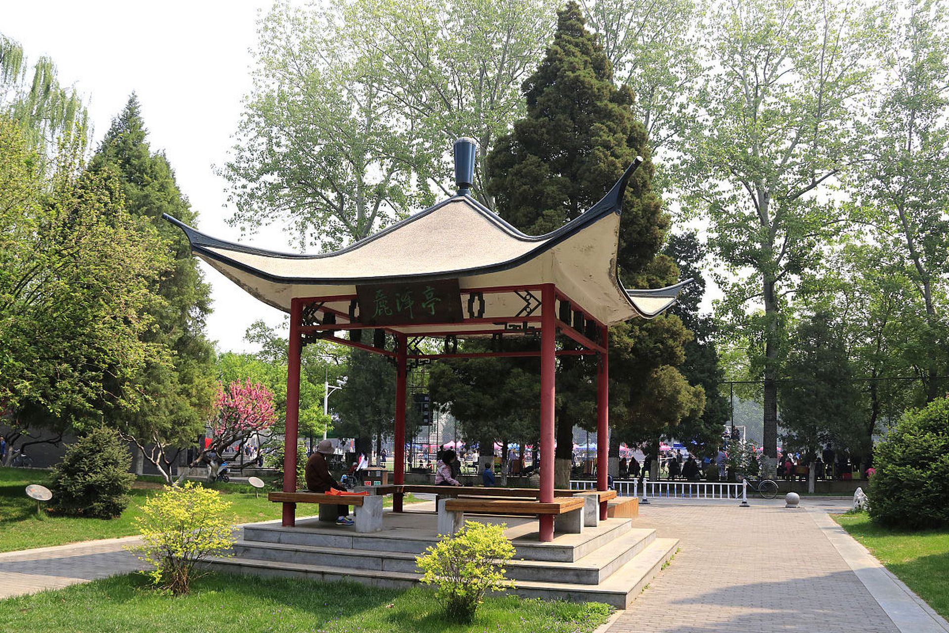 荆州市中山公园:是荆州市最大的城市公园,拥有众多的景点和游乐设施.