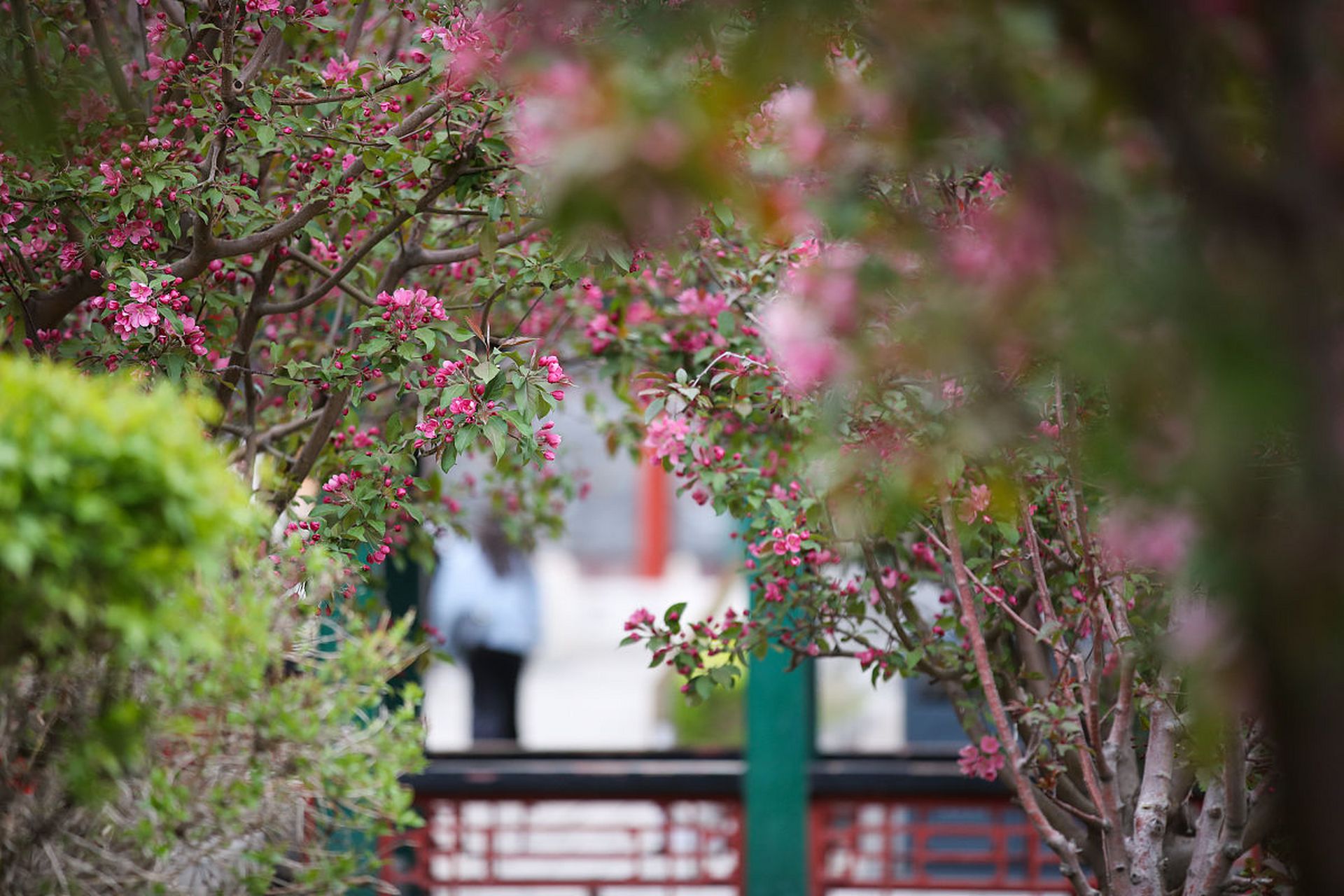 宠辱不惊,闲看庭前花开花落; 去留无意,漫随天外云卷云舒.