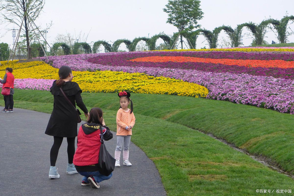 青浦寻梦园一日游攻略