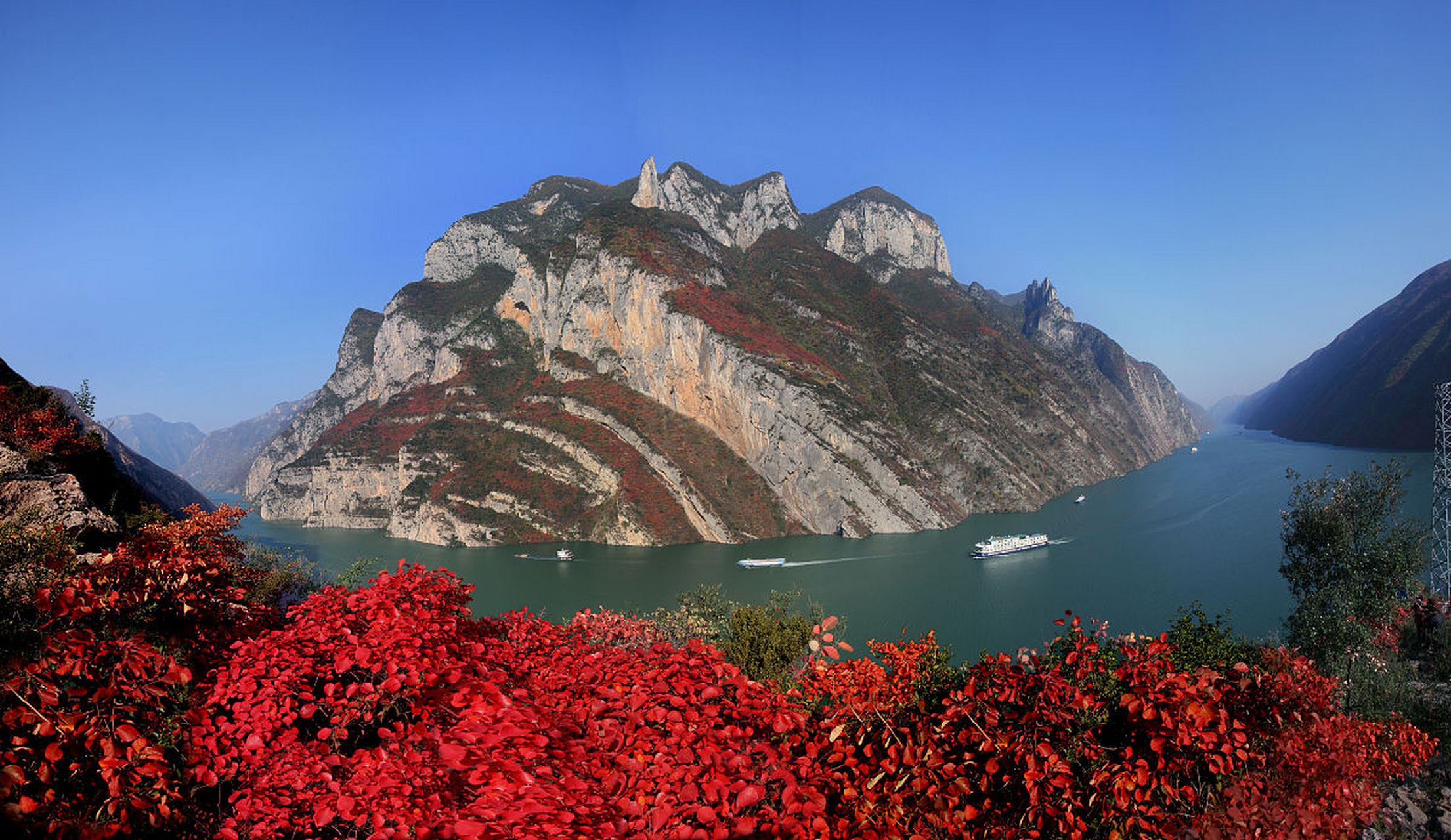 秋天一定要去奉节看夔门红叶 遍布夔门山上的黄栌圆叶,经霜变红,霜重