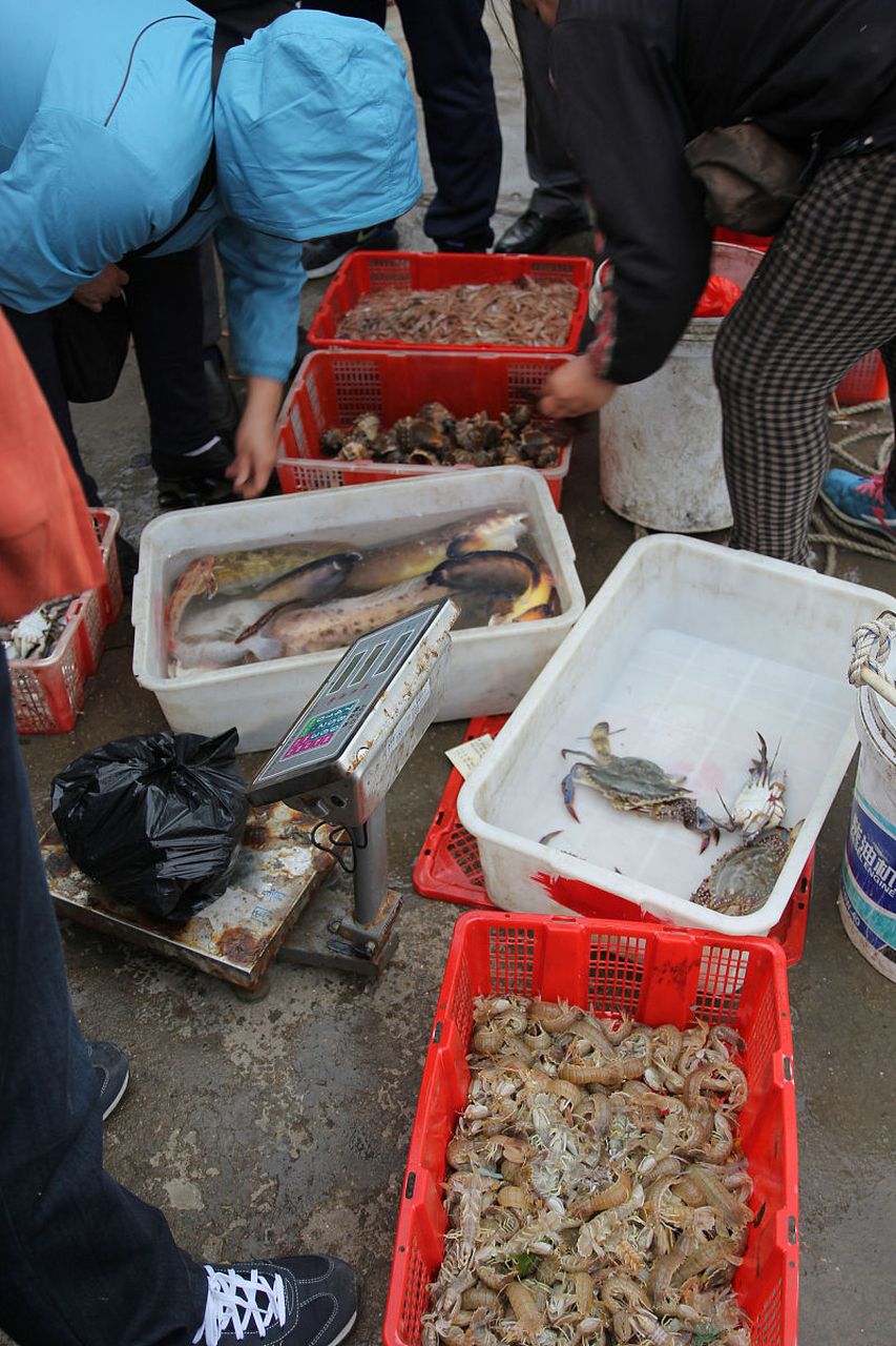 2005年,郑州,男子出摊卖鱼.