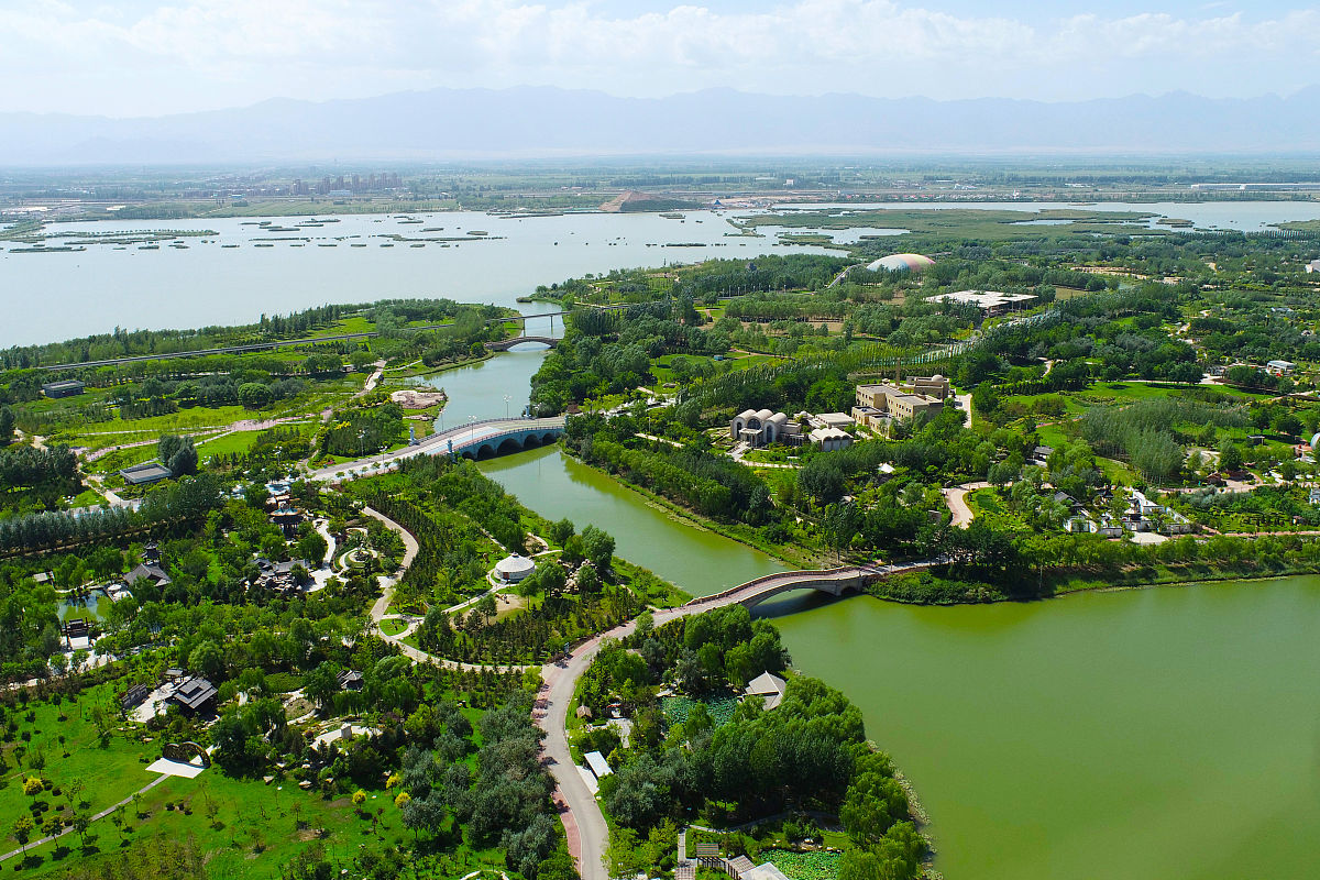 宁夏美景自然红,千年枸杞宁夏红河套草原辽阔影,风吹草地见牛羊