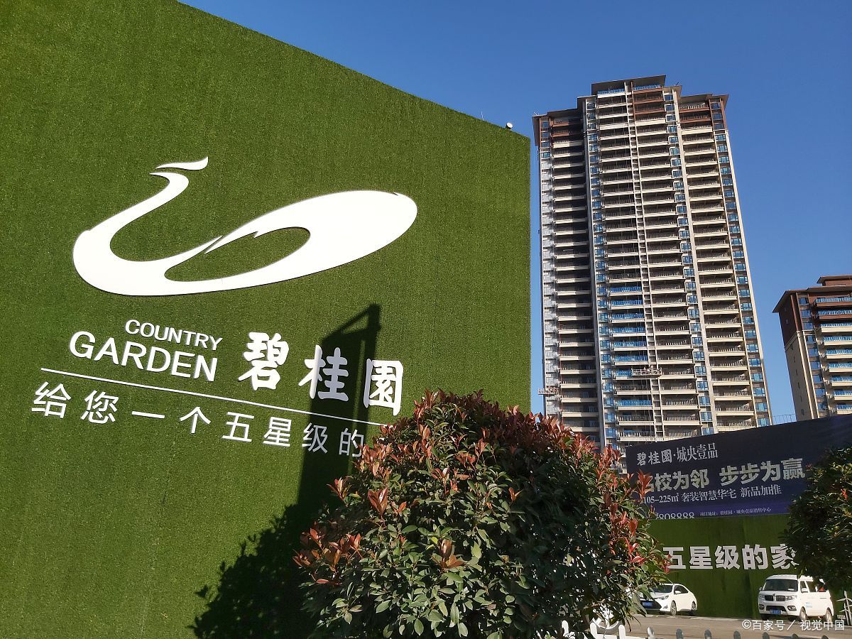 专家激辩碧桂园原高管经营策略,预售制缓解了企业的融资压力,同时也让