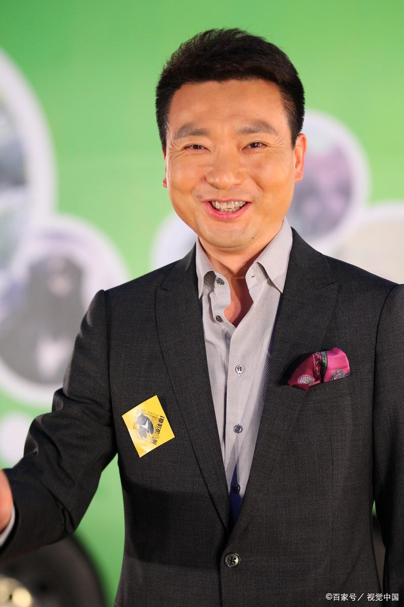 央视排名前十名的主持人 第一名:康辉 第二名:撒贝宁