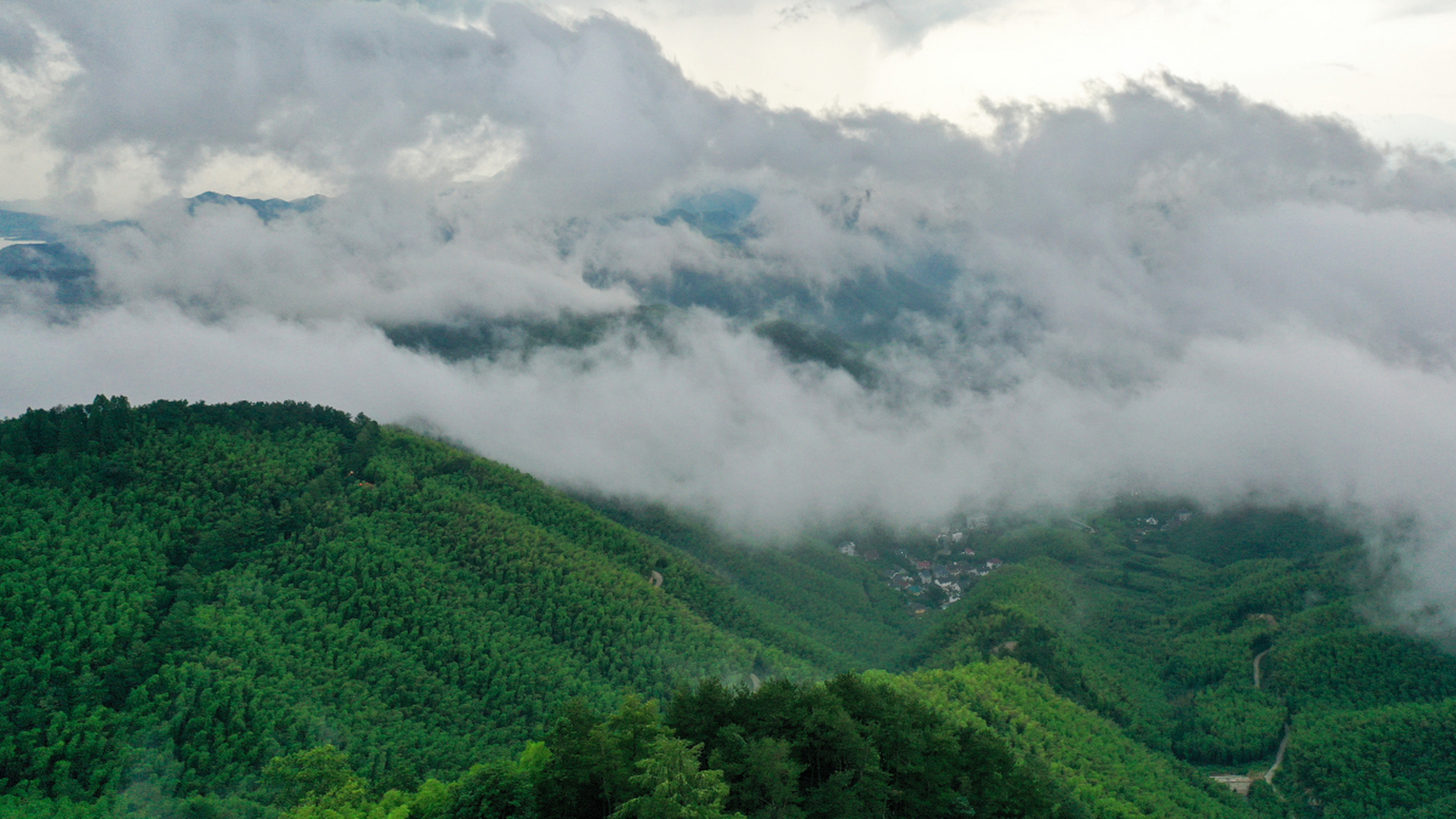 莫干山风景名胜区,位于浙江省德清县,属天目山余脉,以竹,泉,云和清,绿