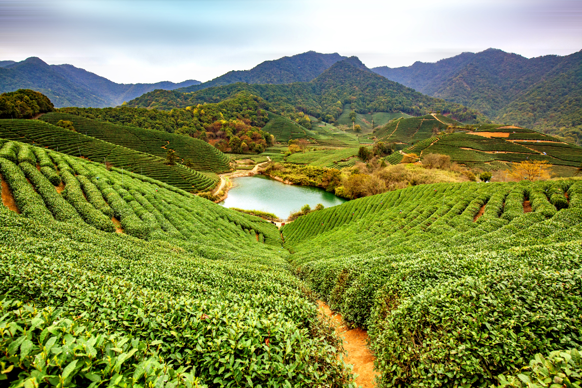 杭州龙坞茶镇旅游攻略